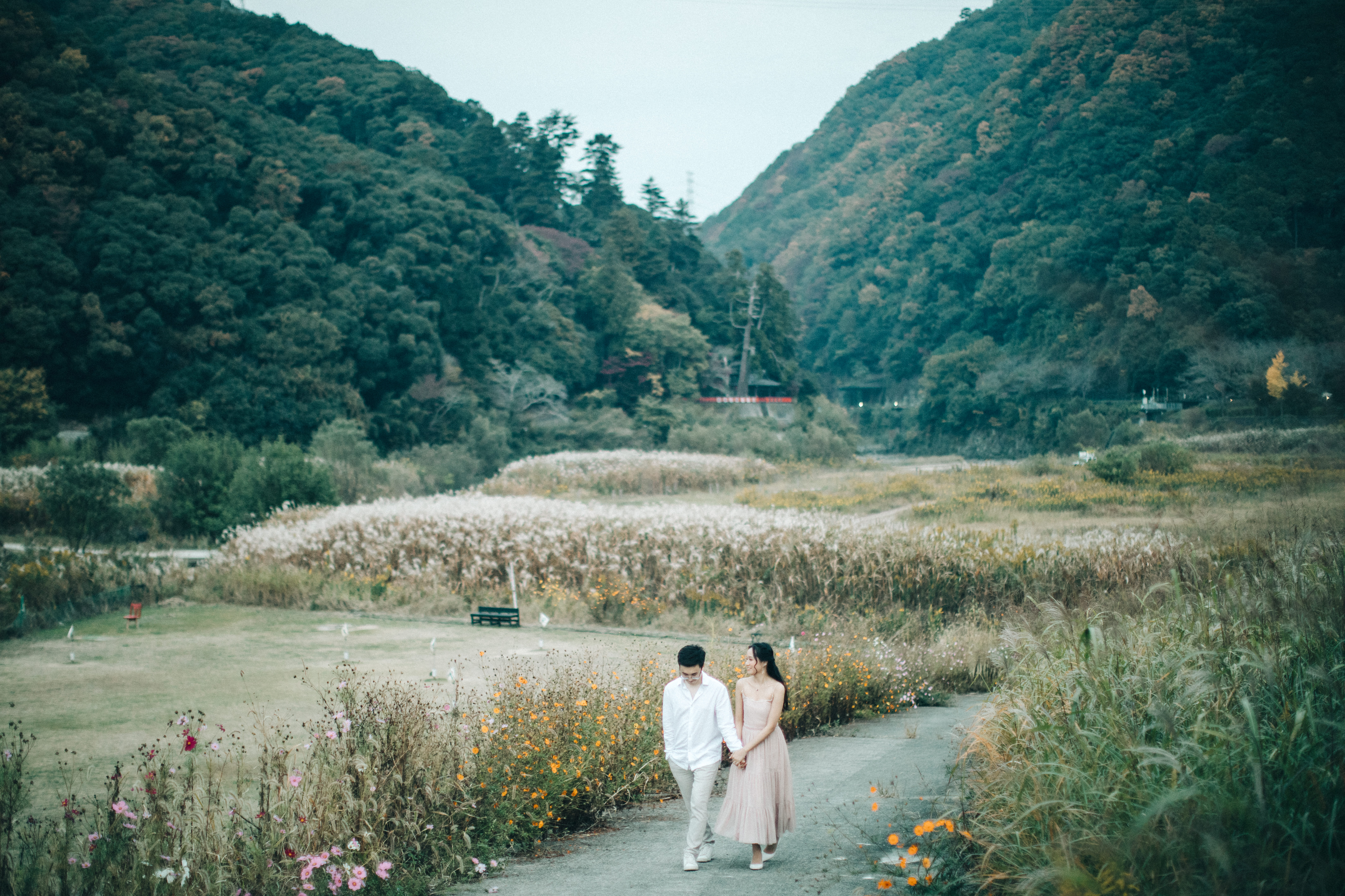 photo from unsplash as placeholder